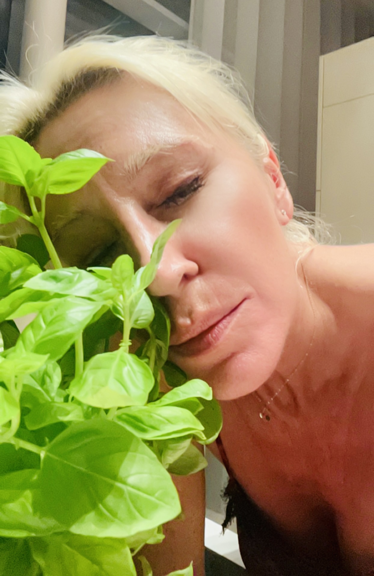 Den würden sogar die Italiener lieben